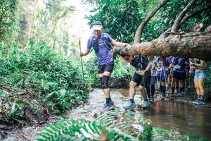 BIB: 
                            <button type="button" onclick="openModal(25472229)" class="btn btn-primary btn-sm float-right btn-popup" data-toggle="modal" data-target=".modal-high-quality">
                        <i class="fas fa-shopping-cart"></i> Add to Cart
                    </button>
                                            <button type="button" onclick="isThisMe(25472229, true)" class="btn btn-success btn-sm float-right btn-popup btn-isme hidden" data-toggle="tooltip" data-placement="bottom" title="นี่คือรูปของคุณใช่ไหม คลิกที่นี่เพื่อเอาเข้าอัลบั้ม">
                        <i class="fas fa-plus"></i> Add to album
                    </button>
                    <button type="button" onclick="isThisMe(25472229, false)" class="btn btn-warning btn-sm float-right btn-popup btn-isnotme hidden">
                        <i class="fas fa-ban"></i> Remove from album
                    </button>